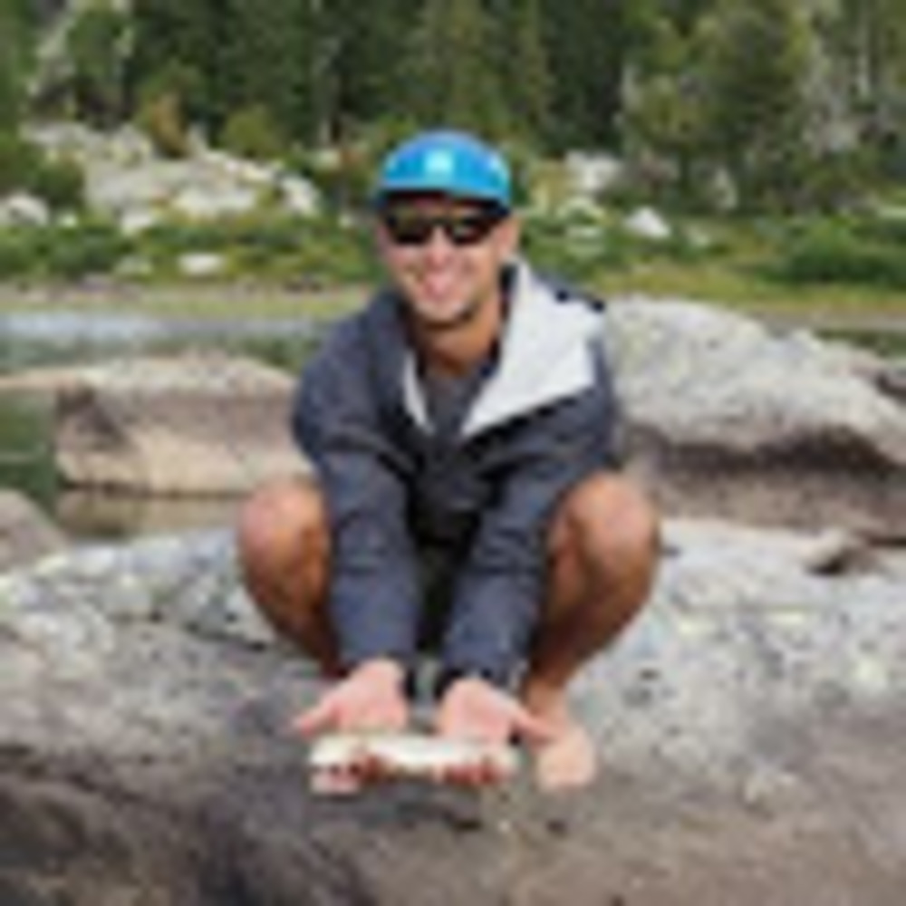 Meet your Posher, Mason - Picture 1 of 1